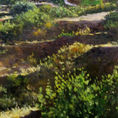 Tronchón hermitage:  Nature in oil — detail
