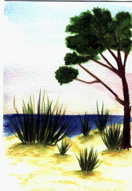 Playa del sur de...