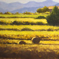 Harvest times — front