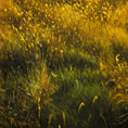 Symphony in Gold and Silence — detail