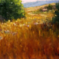 Barley field — detail