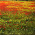 Poppy field — detail