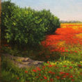 Poppy field — detail