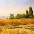 Moncofa farmland — detail