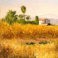 Moncofa farmland — detail
