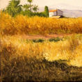 Moncofa farmland — detail