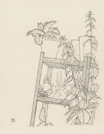 Garden #1