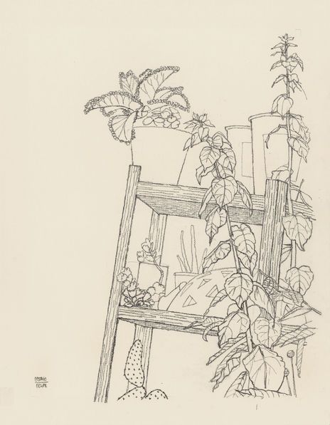 Jardín 1