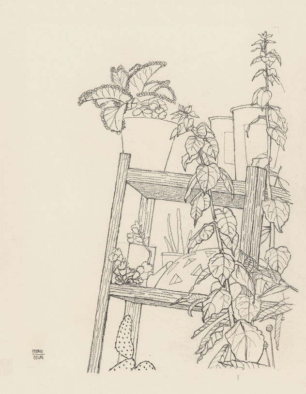 Garden #1