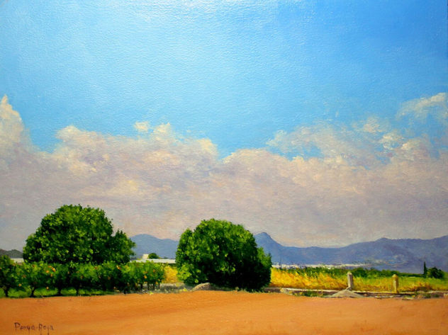 Fields of La Plana Baixa