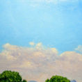 Fields of La Plana Baixa — detail