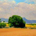 Fields of La Plana Baixa — detail