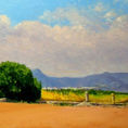 Fields of La Plana Baixa — detail