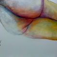 INGRAVITY GARDEN — frontal