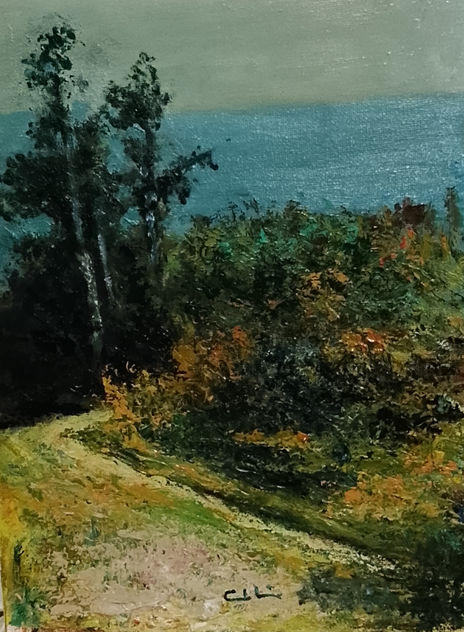 Paisaje-9