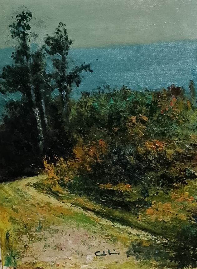 Paisaje-9