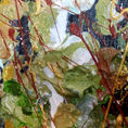 Wild 41 — detail