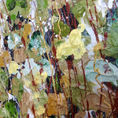 Wild 41 — detail