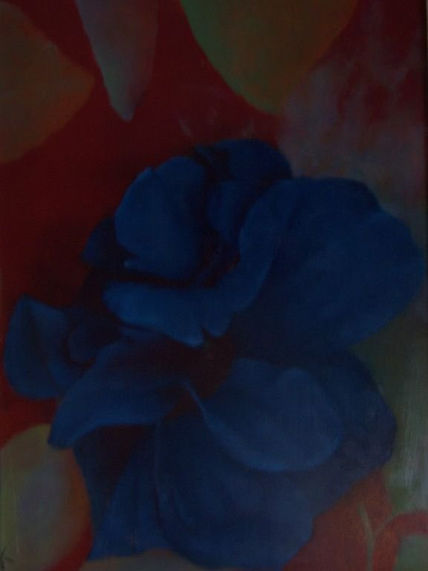 Hibisco azul