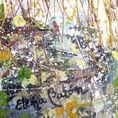 Wild 41 — detail