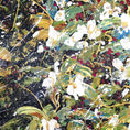 Wild 48 — detail