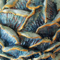 Bluora — detail