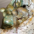 New life — detail