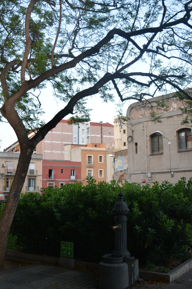 fuente de Barcelona
