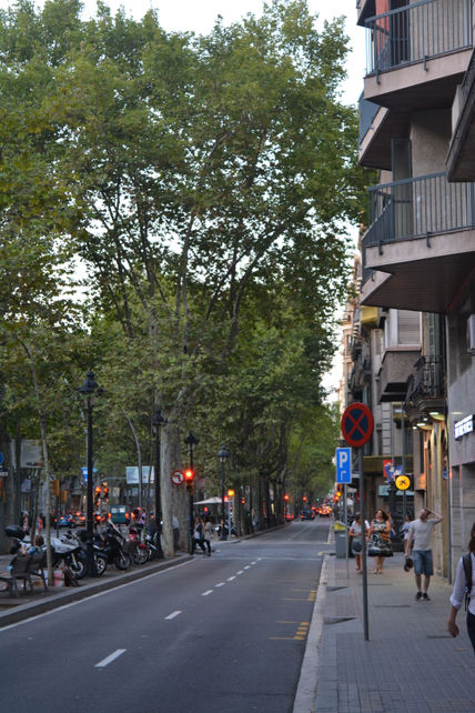 Gran vía árboles...