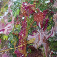 Wild 42 — detail