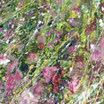 Wild 42 — detail