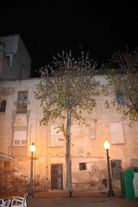Blanes de noche