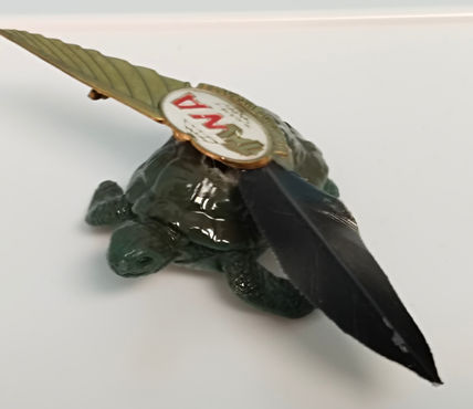 Tortuga voladora