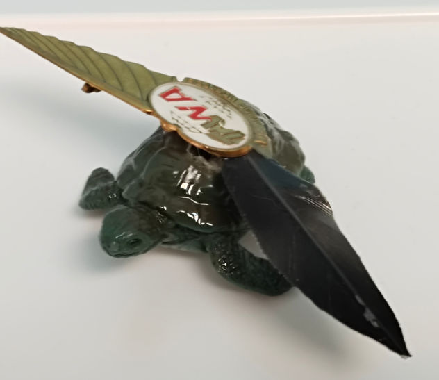Flying Turtle