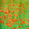 Among poppies — detail