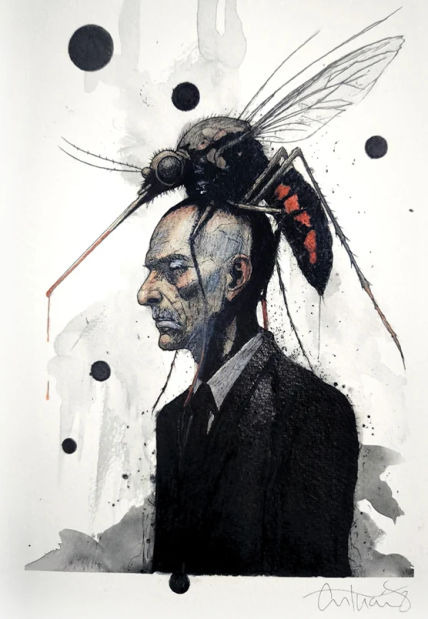 Hombre mosquito