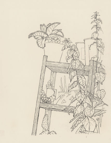 Garden #1