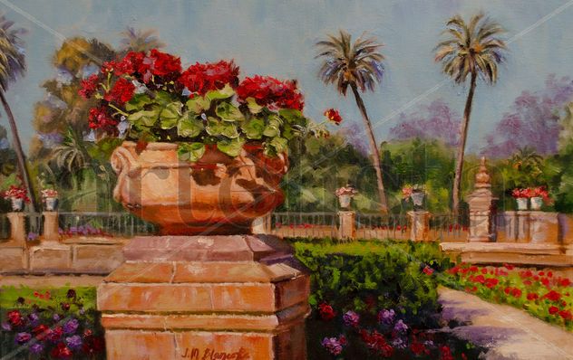 Geraniums