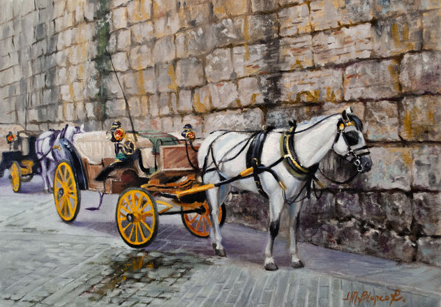 Carruaje Solitario