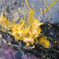 Celestial Bloom VII — detail