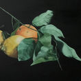 Limones y naranja. — frontal