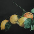 Limones y naranja. — frontal