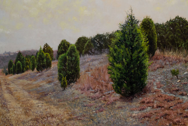 Evergreen Silence