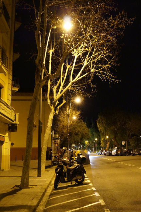 Vista e noche