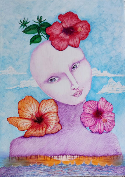 Ibiscus de colores