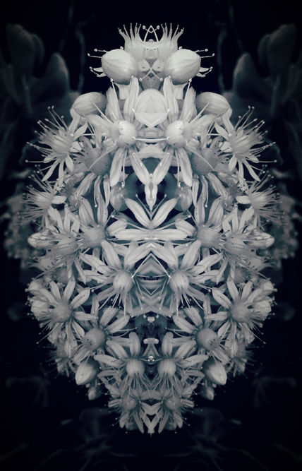 S/T. De la serie...
