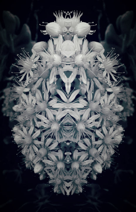 S/T. De la serie...