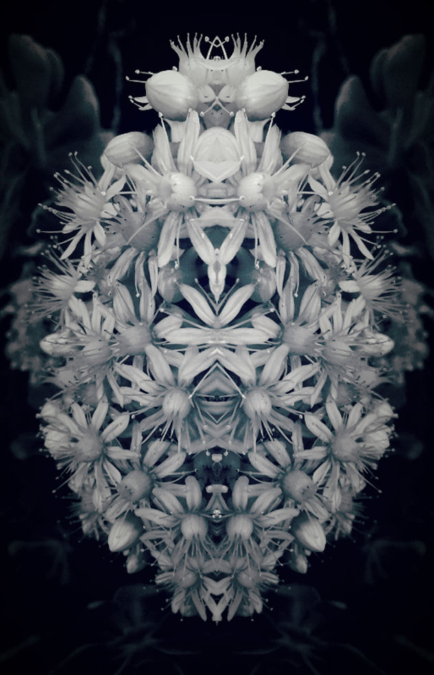 S/T. De la serie Between Mirrors