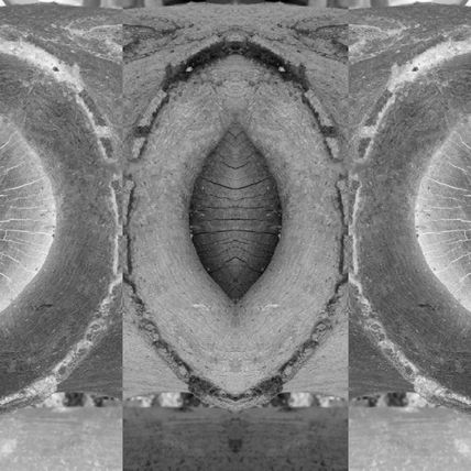 S/T. De la serie...
