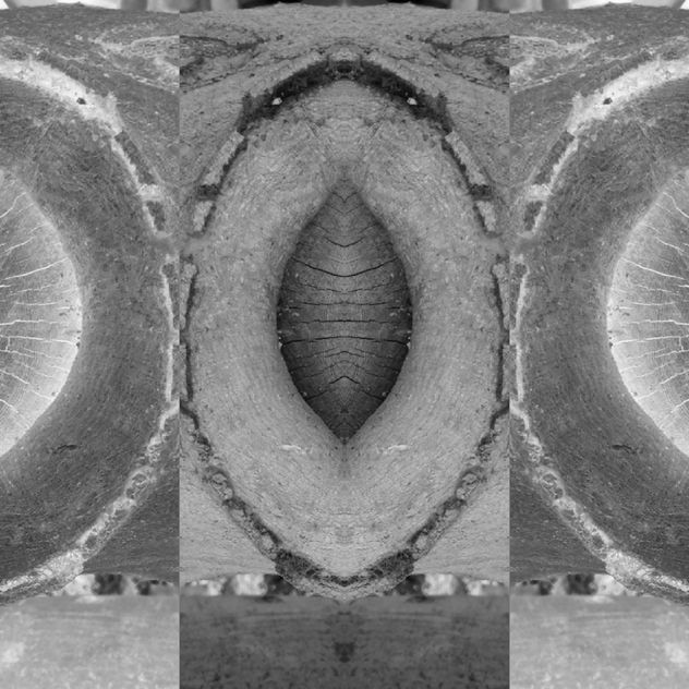 S/T. De la serie Between Mirrors